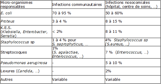 Epidémiologie des infections du tractus urinaire