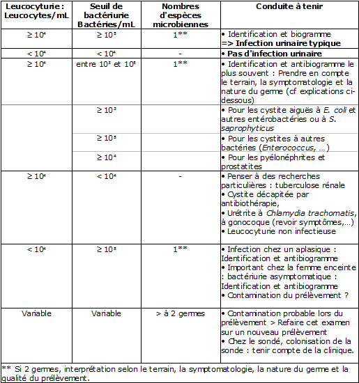 LES INFECTIONS DU TRACTUS URINAIRE (ITU) - 3. L'examen ...