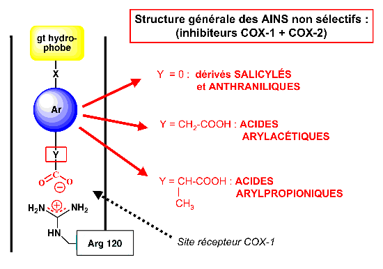 Figure 4 : Structure générale des AINS à fonction acide carboxylique