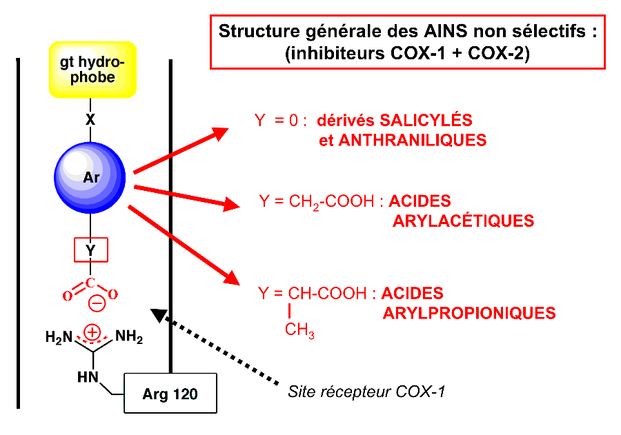 Figure 4 : Structure générale des AINS à fonction acide carboxylique