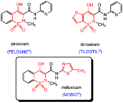 Structure des OXICAMS