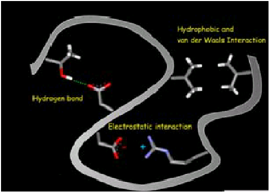 Les interactions moléculaires