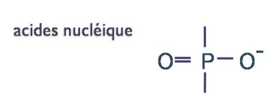 charges_acnucl