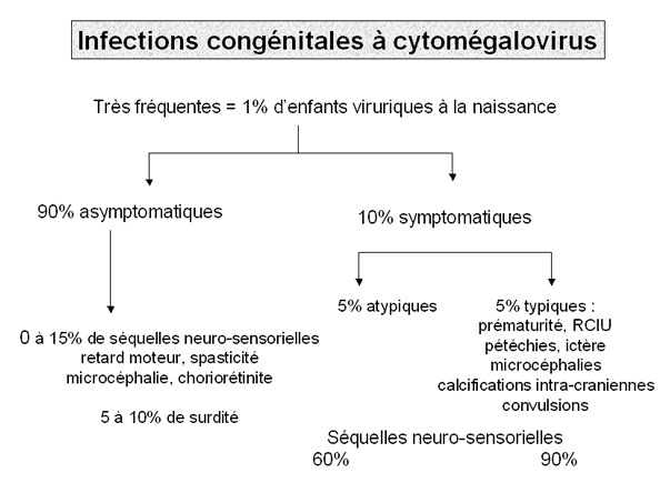 Synthèse sur les infections congénitales à CMV