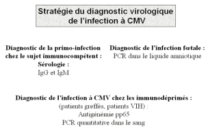 Synoptique du diagnostic des infections à CMV