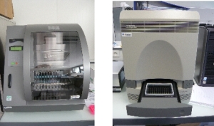 Extracteur automatique et PCR en temps réel