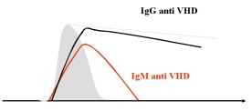 Marqueurs de l'infection par le VHD