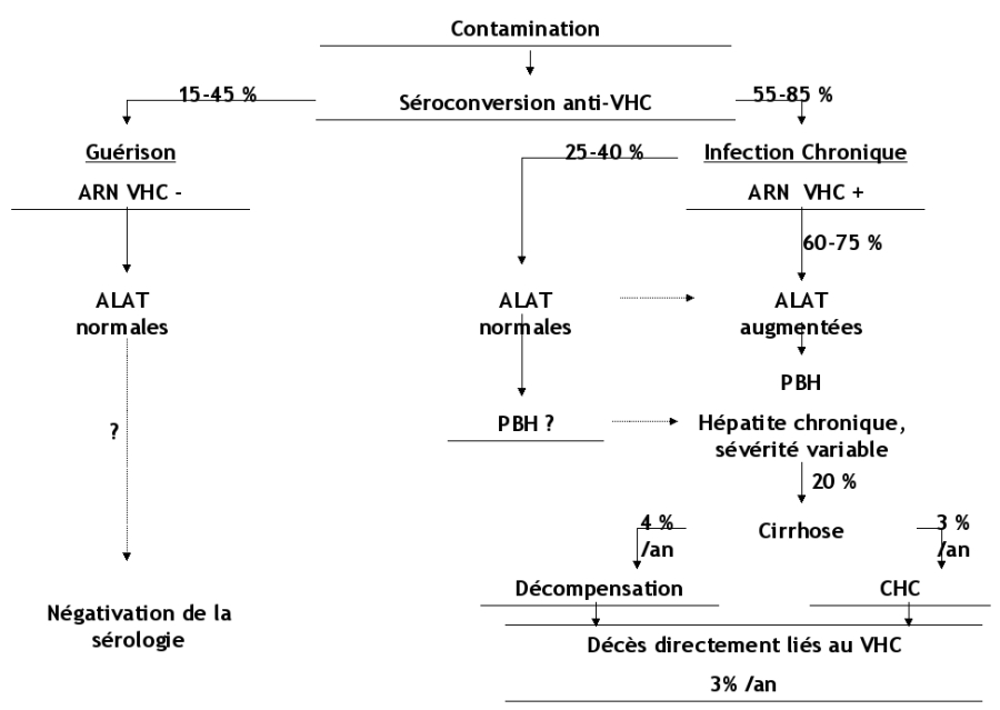 Evolution des infections par le VHC
