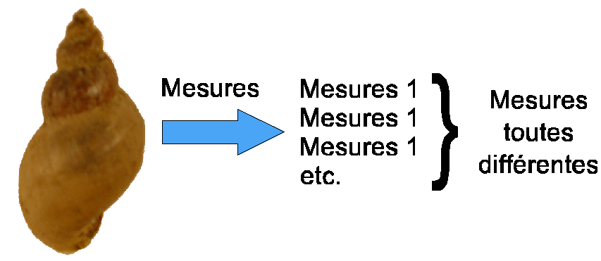 Figure 3 : Représentation schématique de la notion d'imprécision