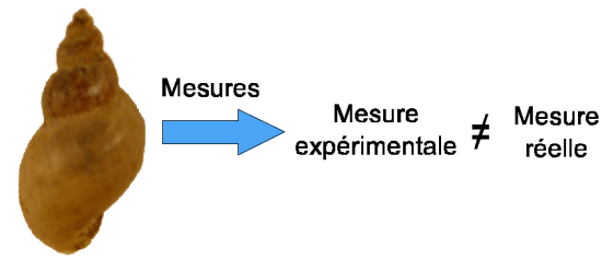 Figure 4 : Représentation schématique de la notion d'inexactitude