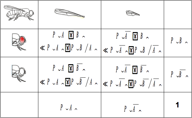 Tableau 16 : Tableau des probabilités de deux événements sur les caractéristiques morphologiques des drosophiles