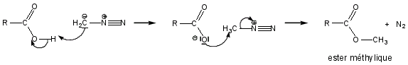 Formation des esters méthyliques des acides carboxyliques
