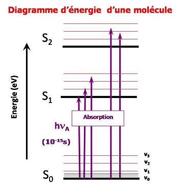 diagramme_molecule