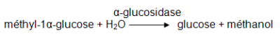 glucosidase