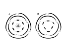 Diagrammes floraux des Arecacées