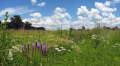 Prairie