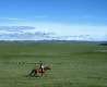 Les fameuses steppes de l'Asie centrale, image de Mongolie