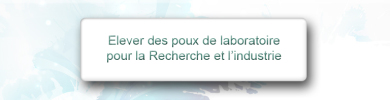 Objectif