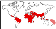 Carte du paludisme dans le monde